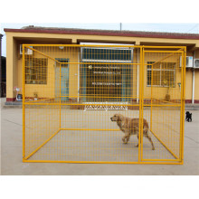 Hot Sale Low Cost Popular Powder Coated Dog Cage